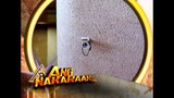 Asian Treasures-Full Episode 33 (Stream Together)