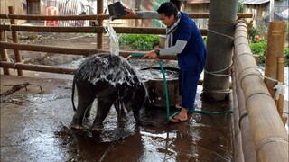 เล่นทั้งวันต้องจับอาบน้ำเลย