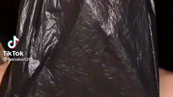 MP4.