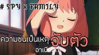 อาเนียซนขนาดนี้…พ่อจ๋าจะทำยังไงดีเนี่ย!!? : Spy x family (ตอนที่1 : 6/6)-จบ