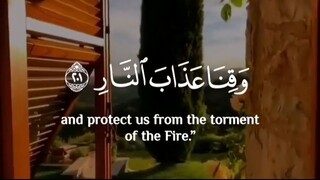 Dua