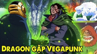 One Piece 1066 _ Dragon Gặp Vegapunk, Ohara, Jaguar D. Saul Còn Sống