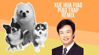Xue Hua Piao Piao Trap Remix but it's Doggos and Gabe