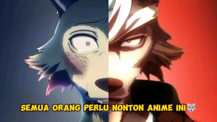 Semua orang perlu nonton beastars🐺