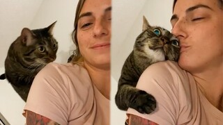 All You Need Is A Cat's Love - Cute Ways Cats Show Their Love For Their Owner