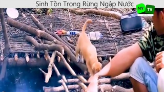 Sinh tồn trong rừng ngập nước p4