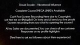David Snyder Course Vibrational Influence download