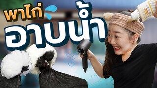 พาไก่อาบน้ำ EP.207