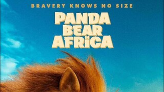 PANDA BEAR IN AFRICA 2024