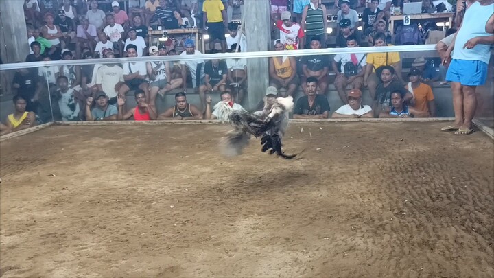 1 fight 2 hits ulotan (Win) RRZN kanawayon
