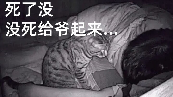 事 情 发 生 于 凌 晨 3 点 半 ...