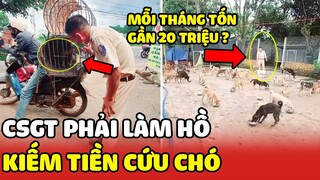 Thượng úy CSGT làm thêm "BỐC VÁC, PHỤ HỒ" để mua lại chó mèo bị bỏ rơi😍| Yêu Lu