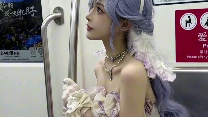 今天是女明星知更鸟小姐~