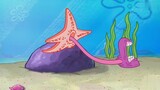 Bagaimana bintang laut makan? Mereka mengeluarkan perutnya dari tubuhnya untuk mengambil makanan!