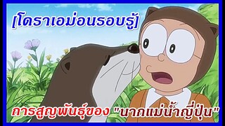 โดราเอม่อนรอบรู้ : การสูญพันธุ์ของ "นากแม่น้ำญี่ปุ่น"