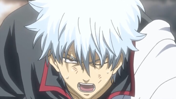 [Tiger Wolf·Be Careful] A small step towards dealing with Sakata Gintoki