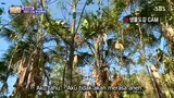 Law Of The Jungle In Sunda Island Sub Indo Eps 8