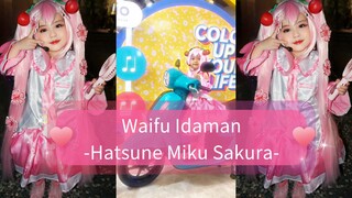 Waifu Idaman sejuta umat Wibu... Hatsune Miku (Sakura) 🌸💮🌸💮🌸