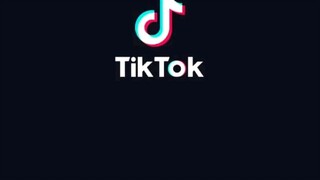 tiktok art