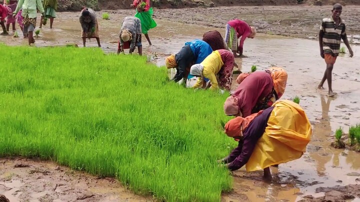 I am a farmer and i will always be... big respect to all the farmers