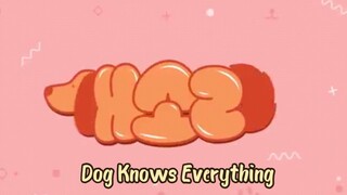 Dog Knows Everything eps 1