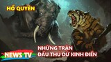 Hổ Quyền - Đấu trường La Mã của Việt Nam với những trận đấu thú dữ kinh điển