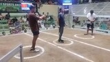2nd fight Win Mayahin ( 3 Cock bantam Derby )