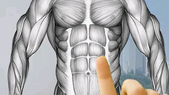 Gym Fitness 1