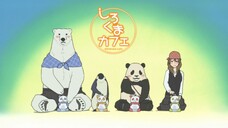 Tiệm Cà Phê Gấu Trắng Tập 26 - Shirokuma Cafe Episode 26 (Thuyết Minh)