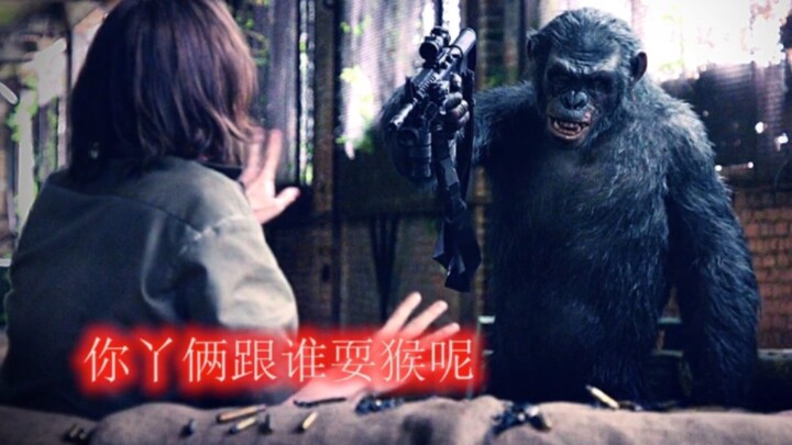扮猪吃老虎之反杀系列，只能说山外有山，人外有人！