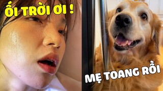 Đại Trang | Đại Trang Đã Cho Mẹ Đăng Xuất Khỏi Trái Đất Vì Một Lý Do Bất Ngờ 🤣 Gâu Đần Official