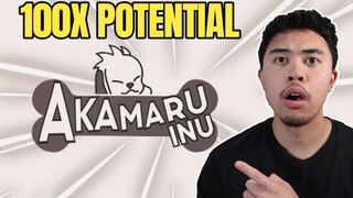 AKAMARU INU IS THE NEXT 100X POTENTIAL TOKEN! - Crypto To Buy Now