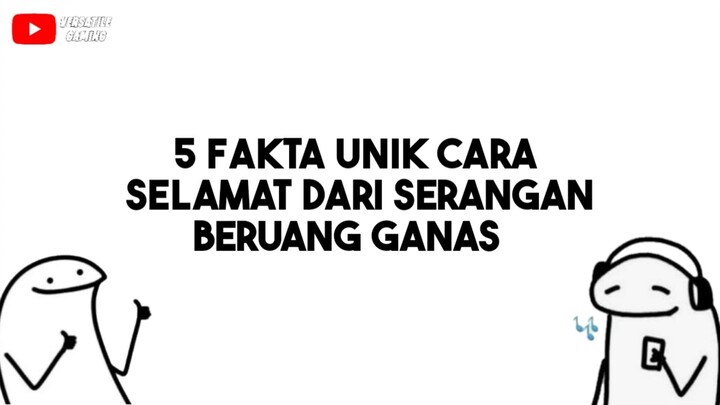 5 Fakta Unik Cara Selamat Dari Serangan Beruang Ganas