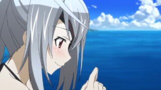 Infinite Stratos_Vol.5