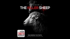 EP2: The Killer Sheep