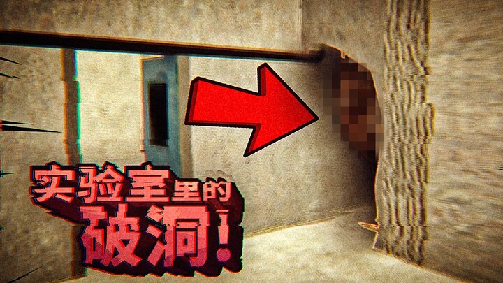 你是一个实验品，当你发现实验室的墙上破了洞，你会怎么做？