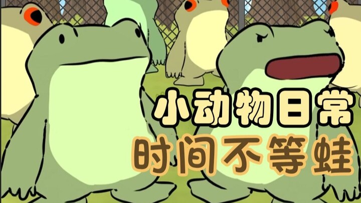 时间不等蛙🐸🕷🐞-【小动物日常 | Natural Habitat Shorts】中英双字
