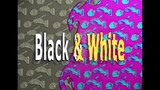 Oggy and the Cockroaches - BLACK AND WHITE (Compilation) CARTOON _ New Episodes
