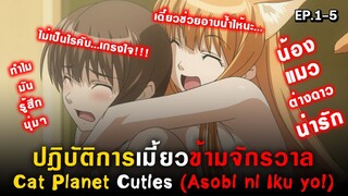 เมื่อคุณต้องอาศัยอยู่กับน้องแมวต่างดาวสุดน่ารัก😻Asobi ni Iku yo! ปฎิบัติการเมี้ยวข้ามจักรวาล[Ep.1-5]