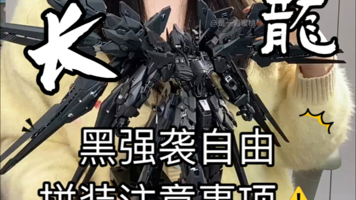 长龙五金你选了谁？长龙黑色强袭自由，拼装体验以及注意事项！