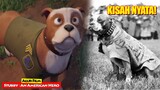 Kisah Anjing Liar Yang Jadi Penyelamat Di Medan Perang | Alur Cerita Film STUBBY AN AMERICAN HERO