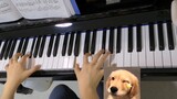 Sau hai năm tự học đàn piano cho người lớn….