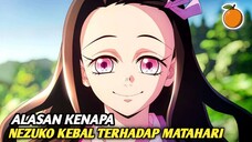 Ini alasannya‼️Kenapa nezuko bisa kebal terhadap matahari?