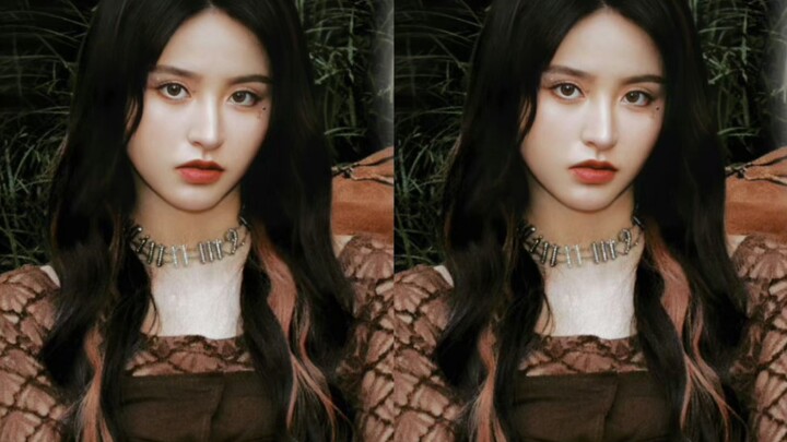 แมว Ragdoll สีสันสดใสกลับมาแล้ว! ผมยาว+แต่งหน้าให้ดูดีเป็นฉลาม