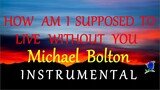 HOW AM I SUPPOSED TO LIVE WITHOUT YOU -  MICHAEL BOLTON instrumental (HD) lyrics