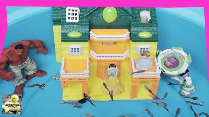 The yellow princess palace is in the water with Molly fish, the chef fish - Cute Animals Video