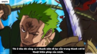 Zoro Có Haki Bá Vương_ - Tiềm Năng Sức Mạnh Của Zoro _ 1