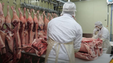 Nhà máy sản xuất thịt lợn khô lão hóa Hàn Quốc | Food Kingdom