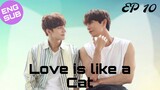 🇰🇷 Love Is like a Cat | HD Episode 10 ~ [English Sub]