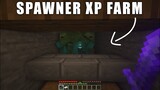 How to Make Zombie Spawner XP Farm in Minecraft 1.17